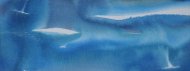 Aqua-04012a
